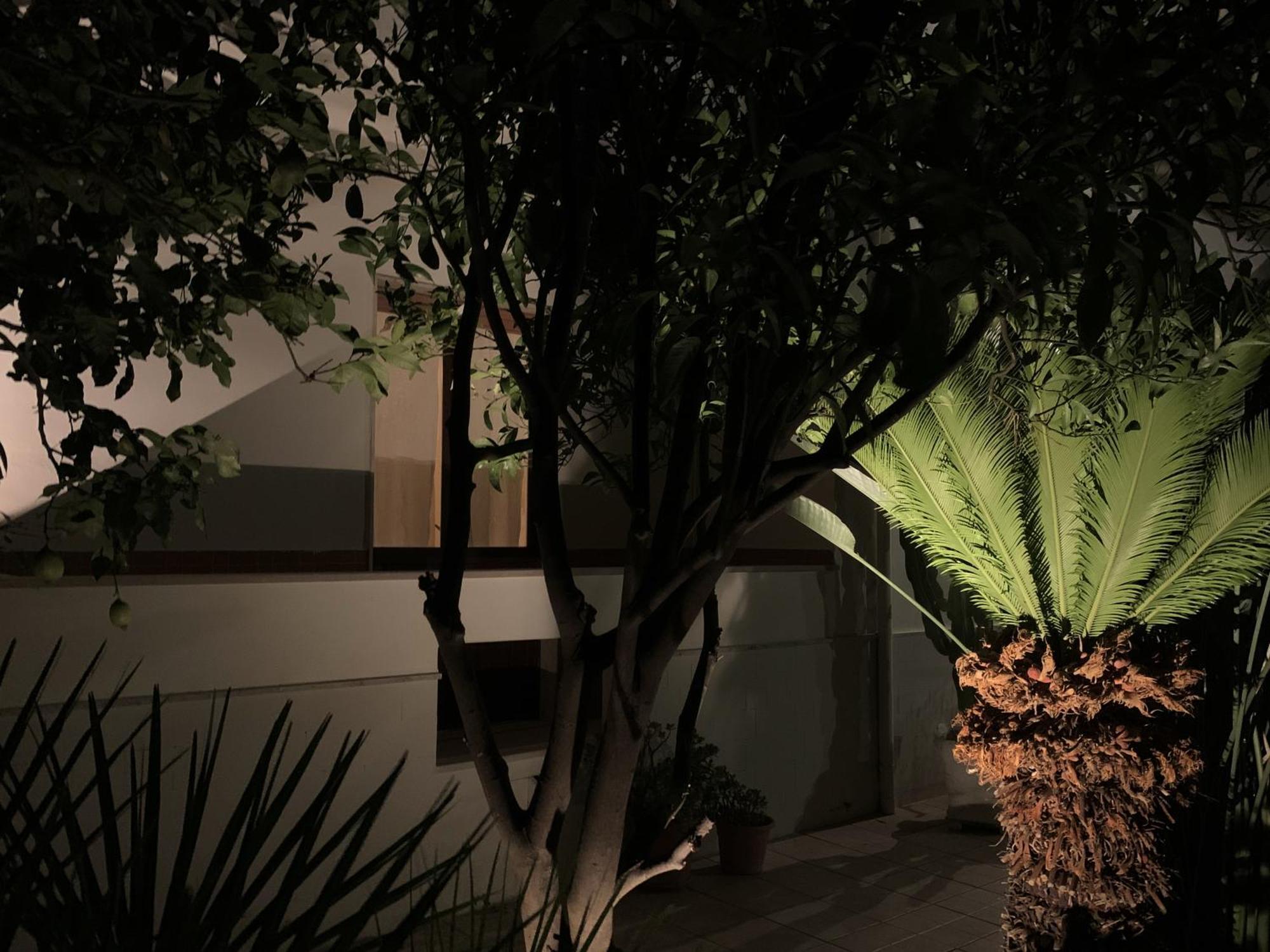 Tap Apartments - In Independent House With Private Garden Alghero Exterior foto