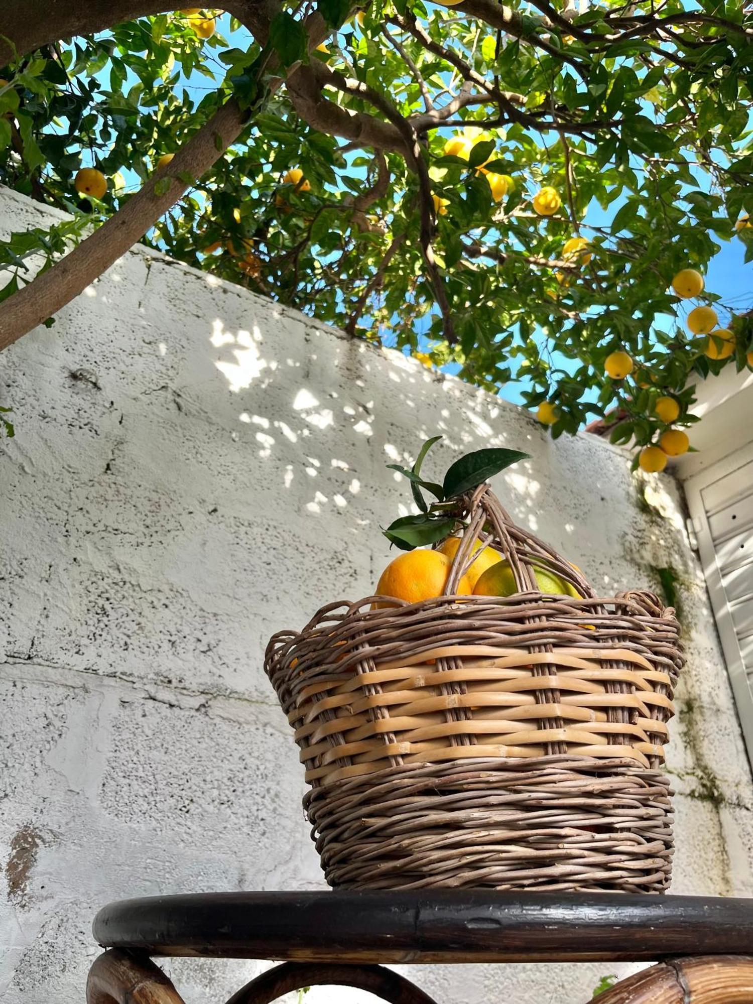 Tap Apartments - In Independent House With Private Garden Alghero Exterior foto